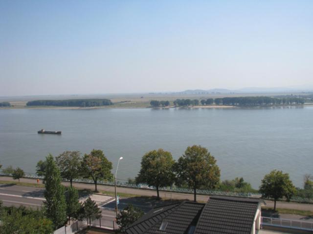 استودیوی استاندارد, Royale