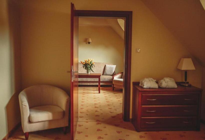 דירת חדר, Rycerski