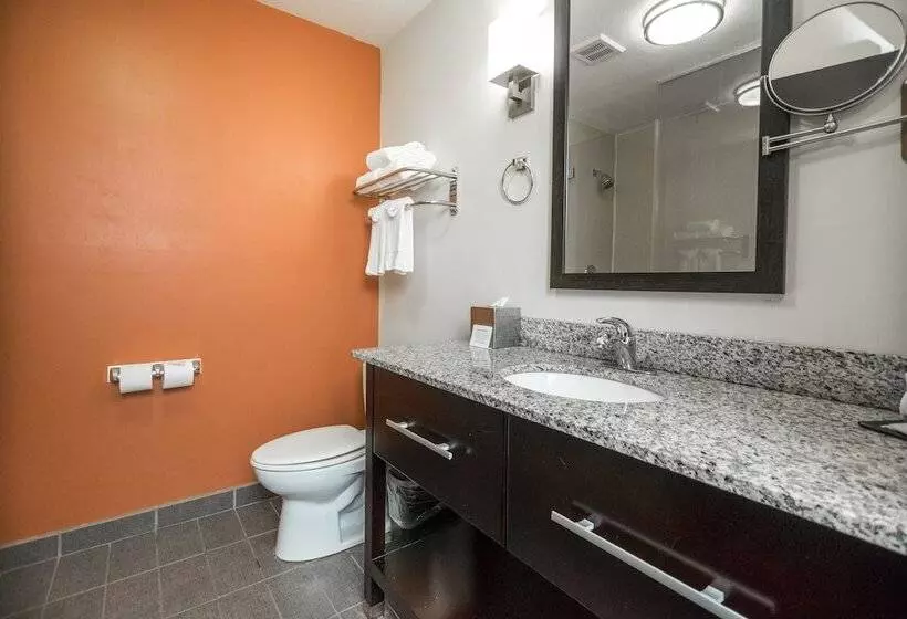身障者適用スイートルーム, Sleep Inn & Suites And Conference Center Downtown