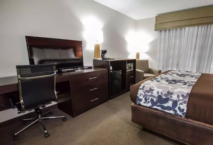身障者適用スイートルーム, Sleep Inn & Suites And Conference Center Downtown