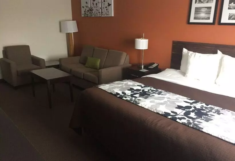 身障者適用スイートルーム, Sleep Inn & Suites And Conference Center Downtown