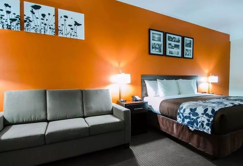 身障者適用スイートルーム, Sleep Inn & Suites And Conference Center Downtown