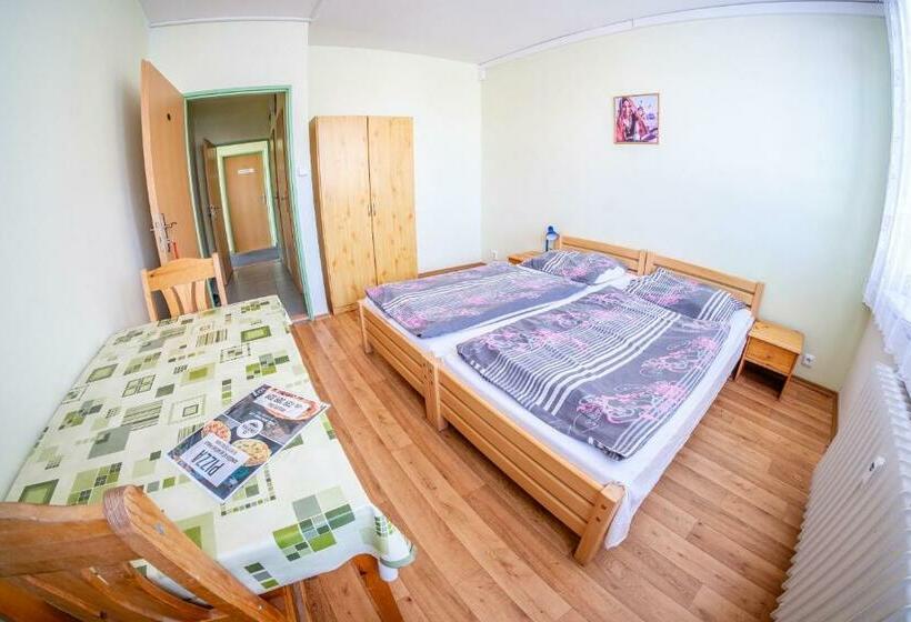 اتاق استاندارد با سرویس بهداشتی مشترک, U Nádraží