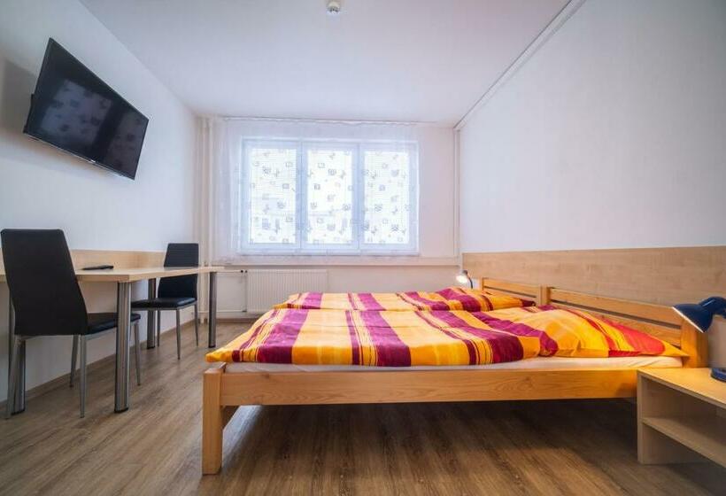 اتاق استاندارد با سرویس بهداشتی مشترک, U Nádraží