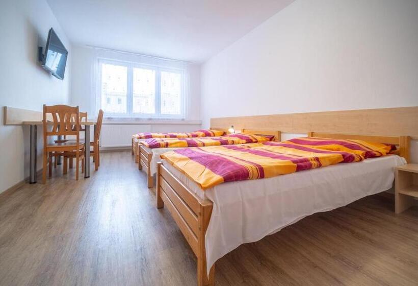 اتاق استاندارد سه تخته با سرویس بهداشتی مشترک, U Nádraží