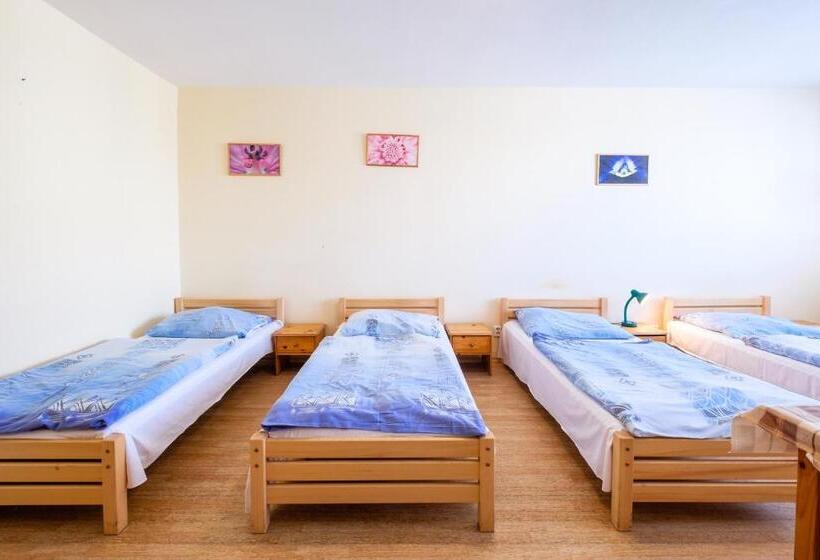 اتاق استاندارد چهارنفره با سرویس بهداشتی مشترک, U Nádraží