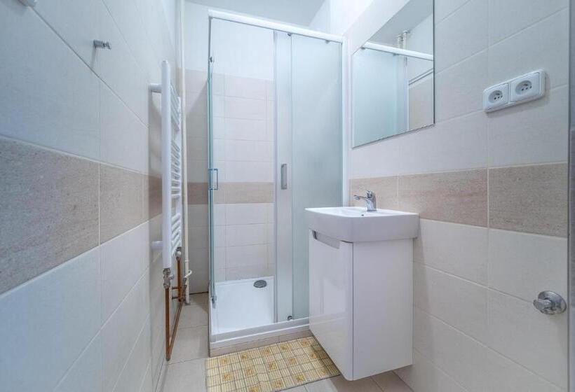 اتاق استاندارد سه تخته با سرویس بهداشتی مشترک, U Nádraží