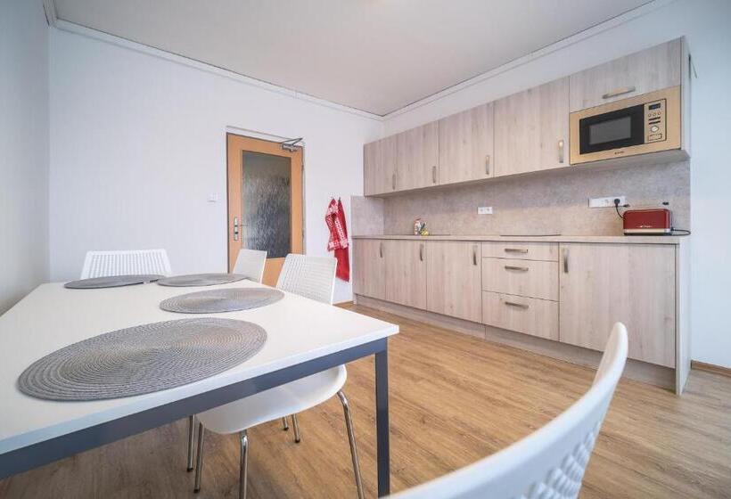 اتاق استاندارد, U Nádraží