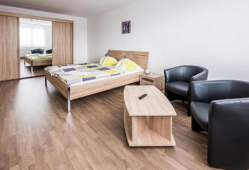 اتاق استاندارد, U Nádraží