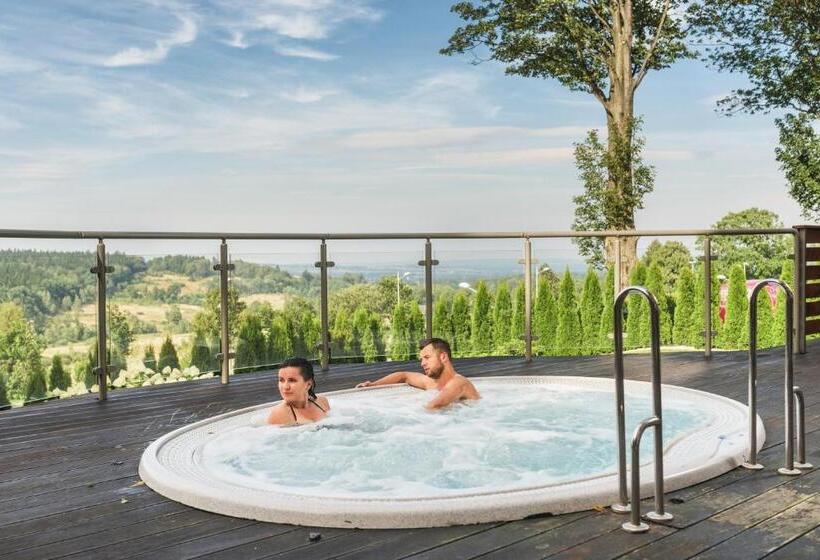 Номер Стандарт Индивидуальный, Malinowy Dwór Hotel Medical Spa