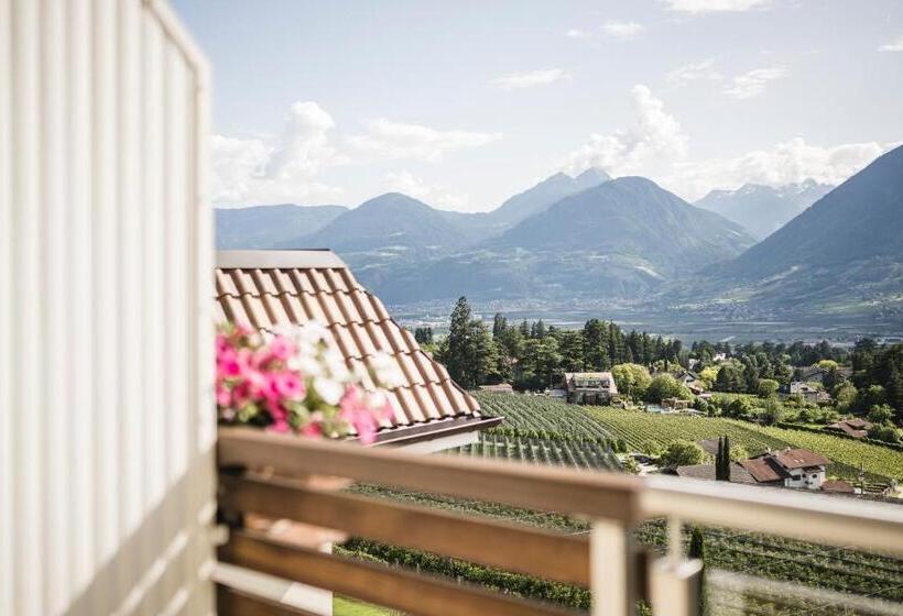 غرفة قياسية, Mitterplatt