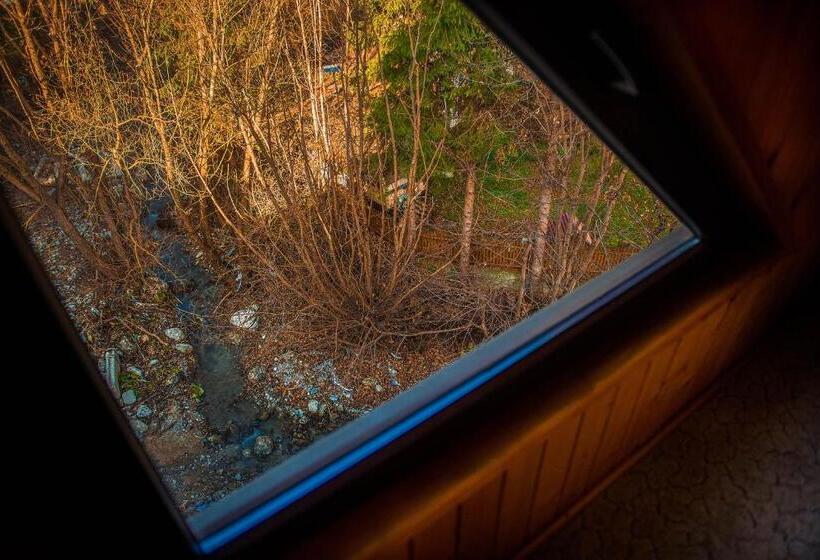 דירת שני חדרים, Casa Maia