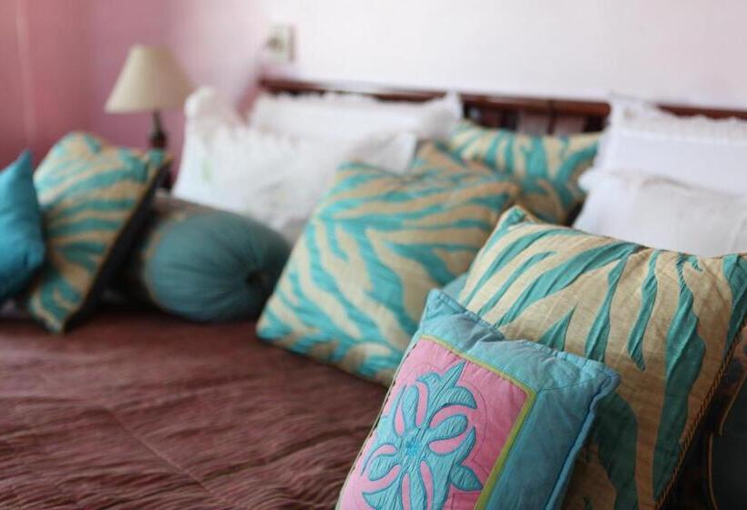 غرفة ديلوكس, Haveli Katkoun