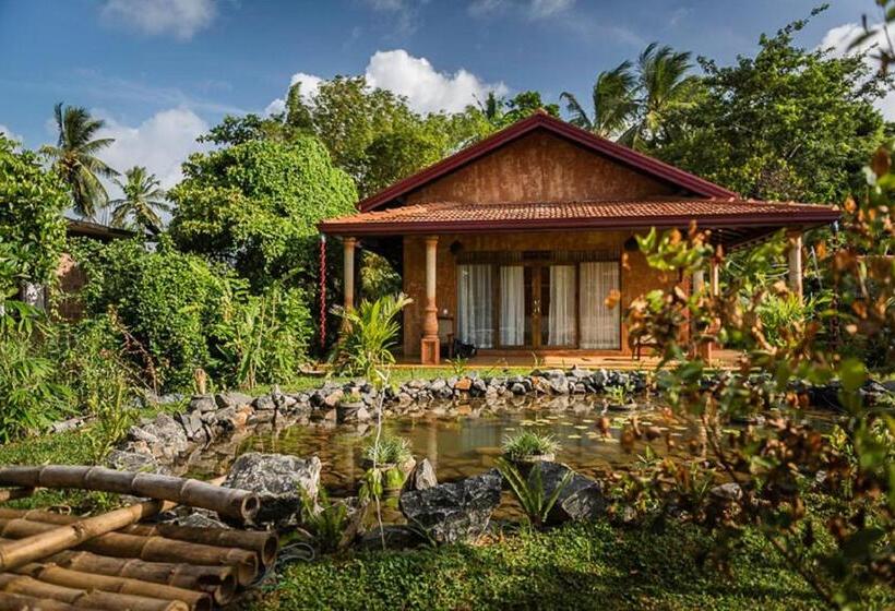 스탠다드 방갈로, D Canal House