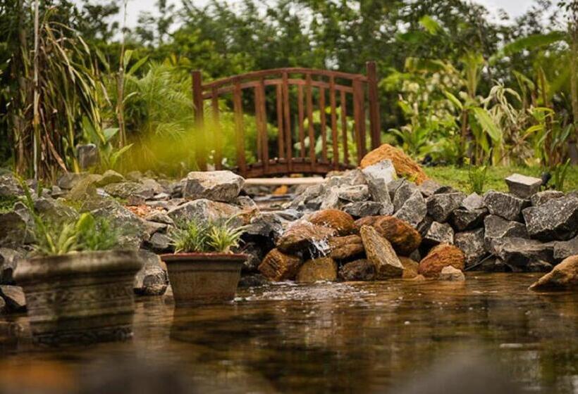 스탠다드 방갈로, D Canal House