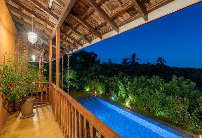 Номер Стандарт, D Canal House