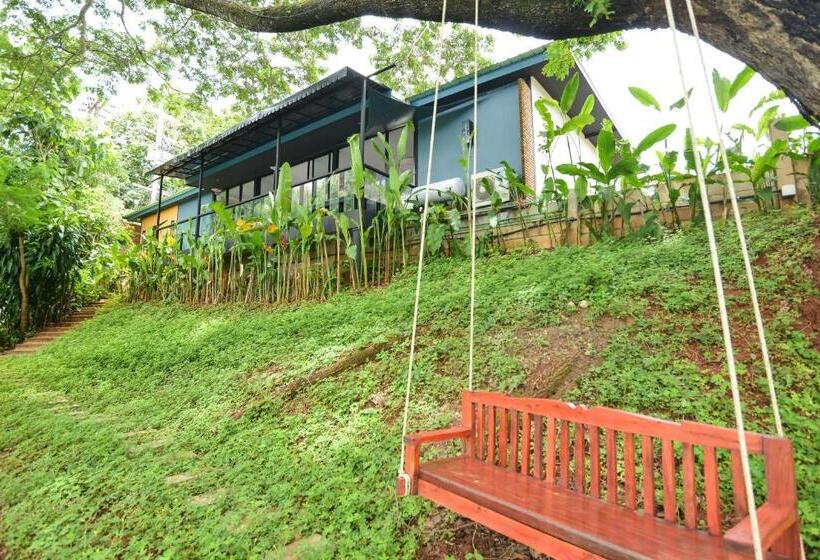 جناح سرير كينج, Bedvilla Chiangrai