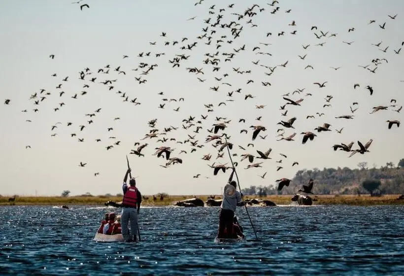 سوئیت با بالکن, Chobe Marina Lodge