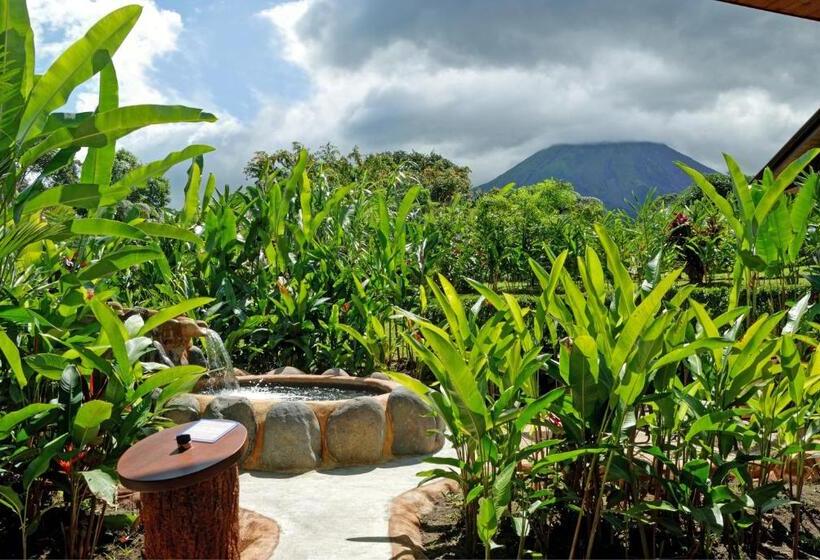 配有游泳池的小型套房, Volcano Lodge, Hotel & Thermal Experience