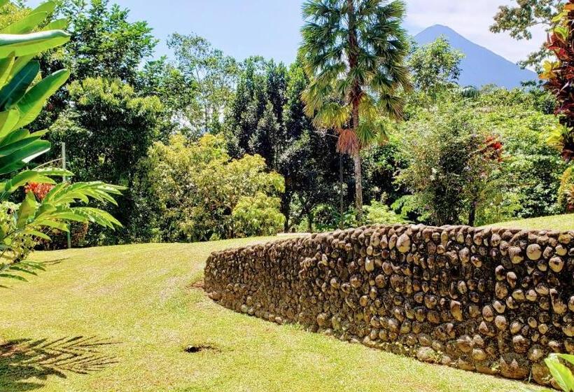 带大床的标准间, Volcano Lodge, Hotel & Thermal Experience