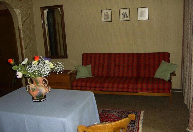 Номер Стандарт с Балконом, Pension Mühlbachhof