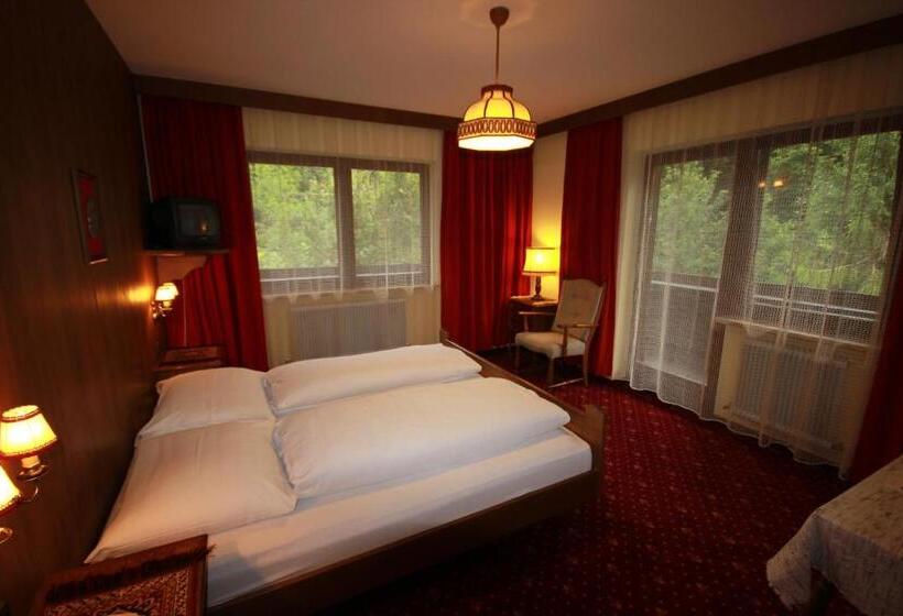 Номер Стандарт с Балконом, Pension Mühlbachhof