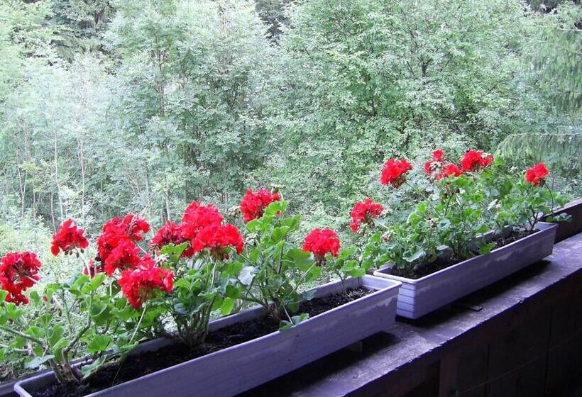 Номер Стандарт Индивидуальный с Балконом, Pension Mühlbachhof