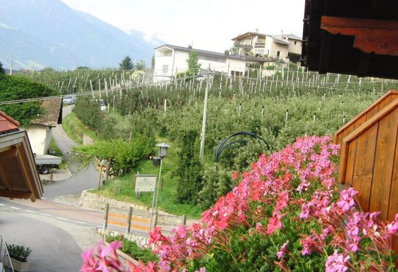 חדר סטנדרט יחיד עם מרפסת, Garni An Der Leit