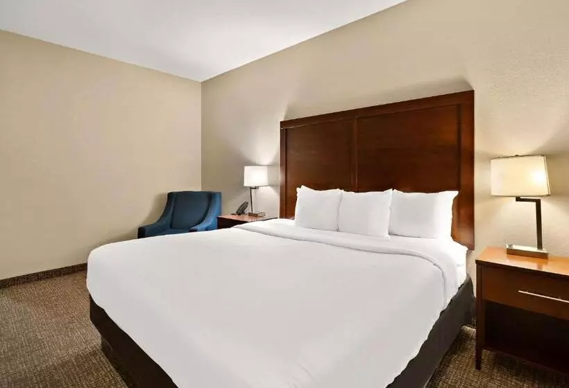 キングサイズベッドのスタンダードルーム, Comfort Inn New Orleans Airport South