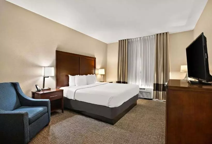 キングサイズベッドのスタンダードルーム, Comfort Inn New Orleans Airport South