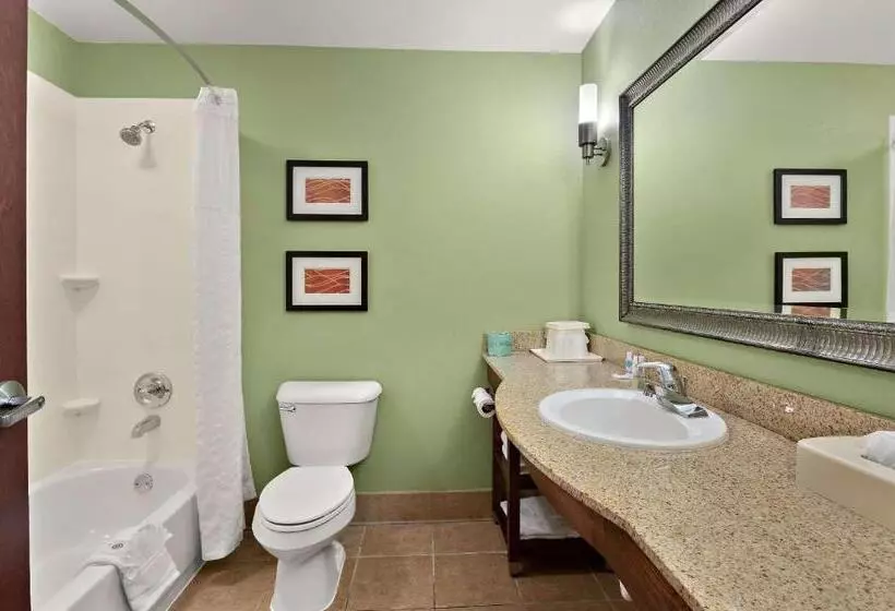 キングサイズベッドのスイートルーム, Comfort Inn New Orleans Airport South