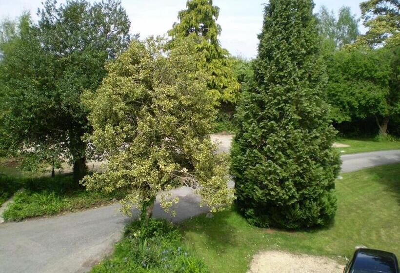 标准单人间, Fieldways