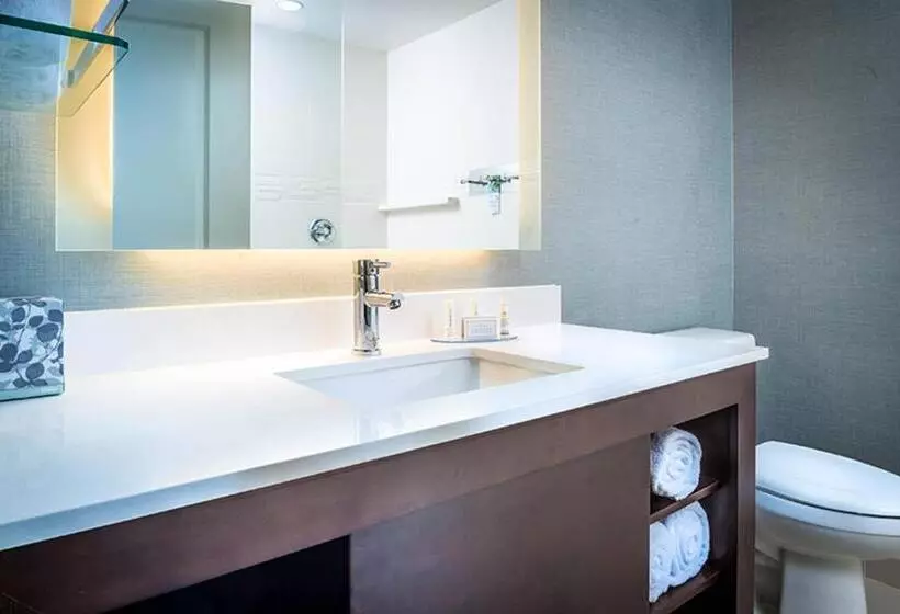 スイート, Residence Inn By Marriott Columbus Polaris