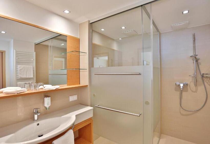 Superior room with lake view, Seerose