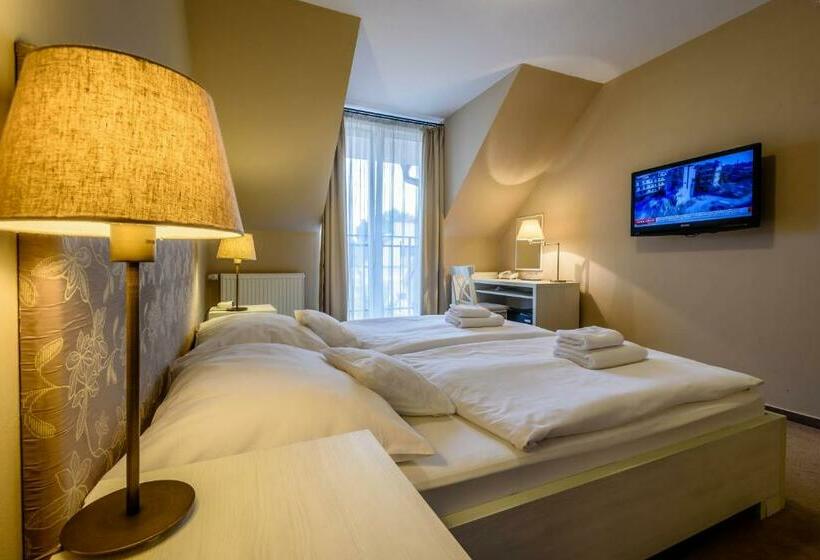 اتاق استاندارد, Penzión Central Park