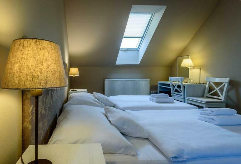 اتاق استاندارد, Penzión Central Park