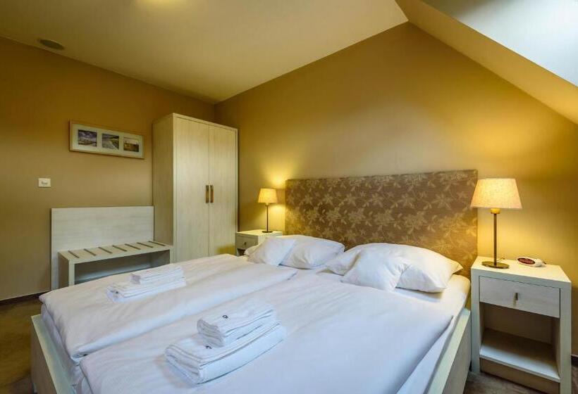 اتاق استاندارد, Penzión Central Park