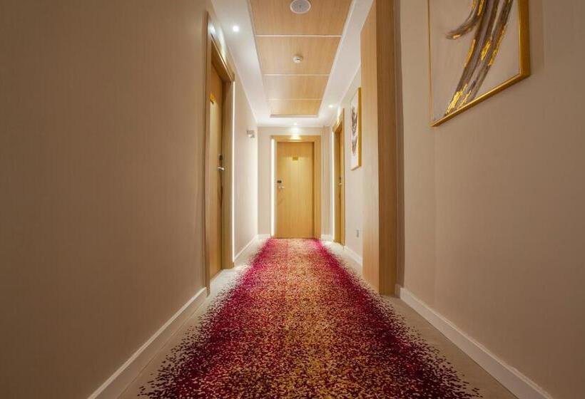 اتاق استاندارد سه نفره, Ibiris