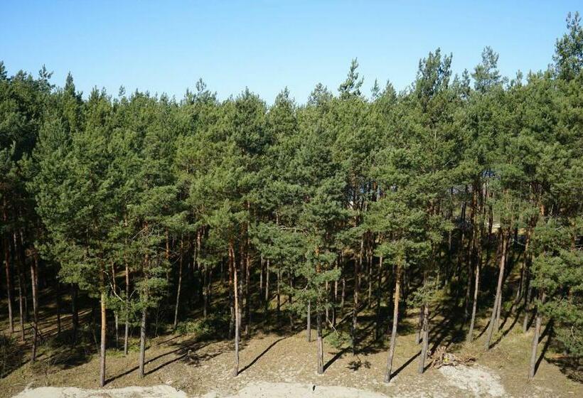 景色の見えるデラックスルーム, White