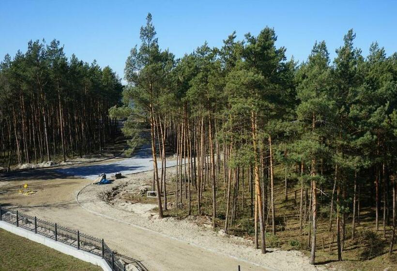 景色の見えるデラックスルーム, White