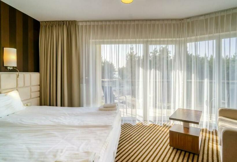 景色の見えるデラックスルーム, White