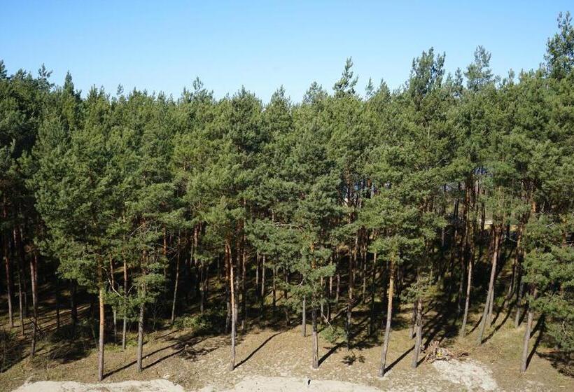 デラックススタジオ, White