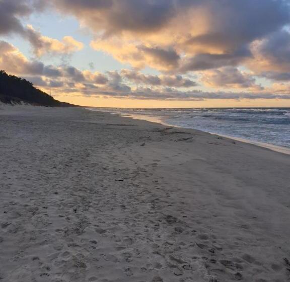 デラックスルーム, White