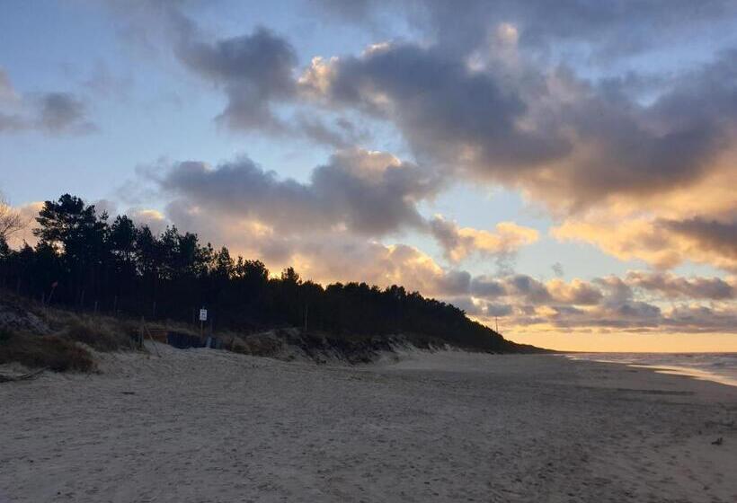 デラックスルーム, White