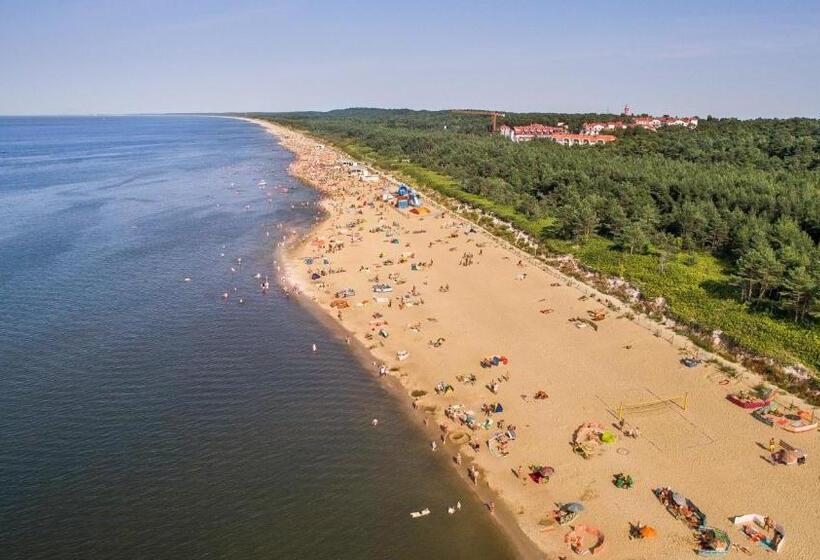 スタンダードルーム, White