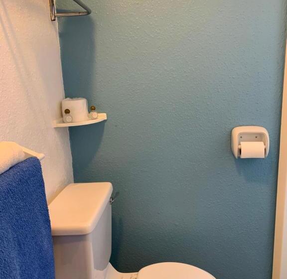 غرفة قياسية, Alondra