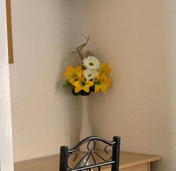 غرفة قياسية, Alondra