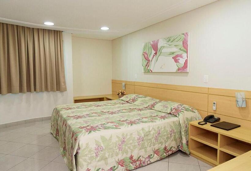 スタンダードルーム, Domani