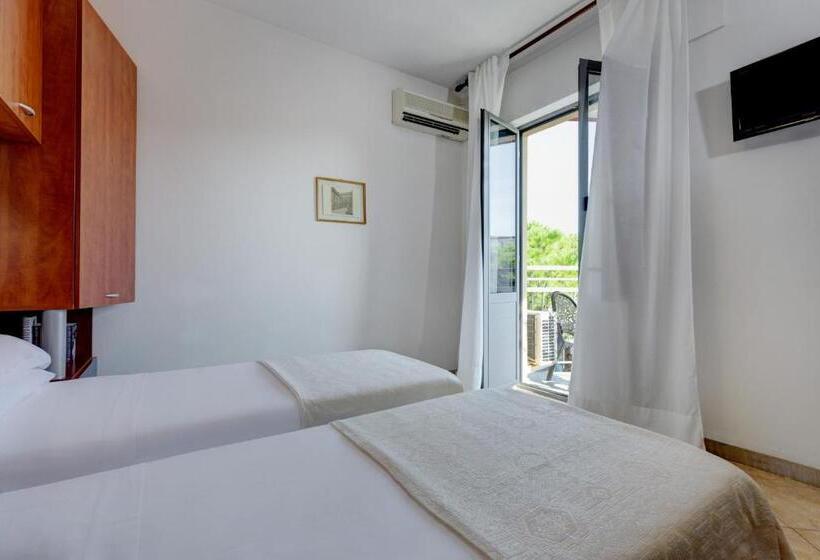 Standard Room, Frank