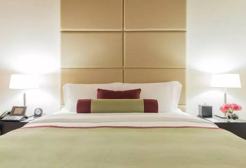اتاق لوکس با تخت بزرگ, Oryx Airport Hotel  Transit Only